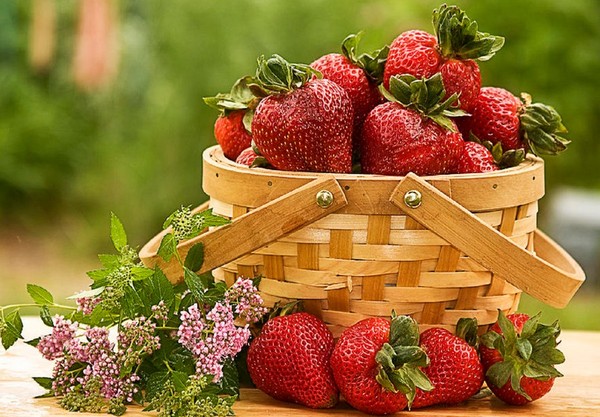 LES FRAISES