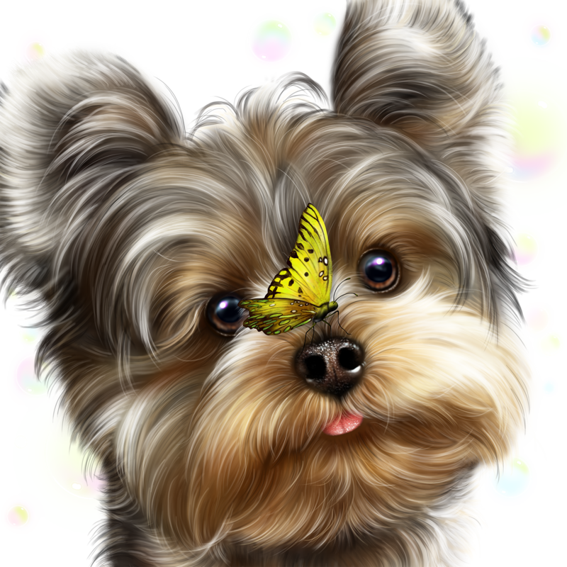 fairy_yorkie_and_butterflies_12.png