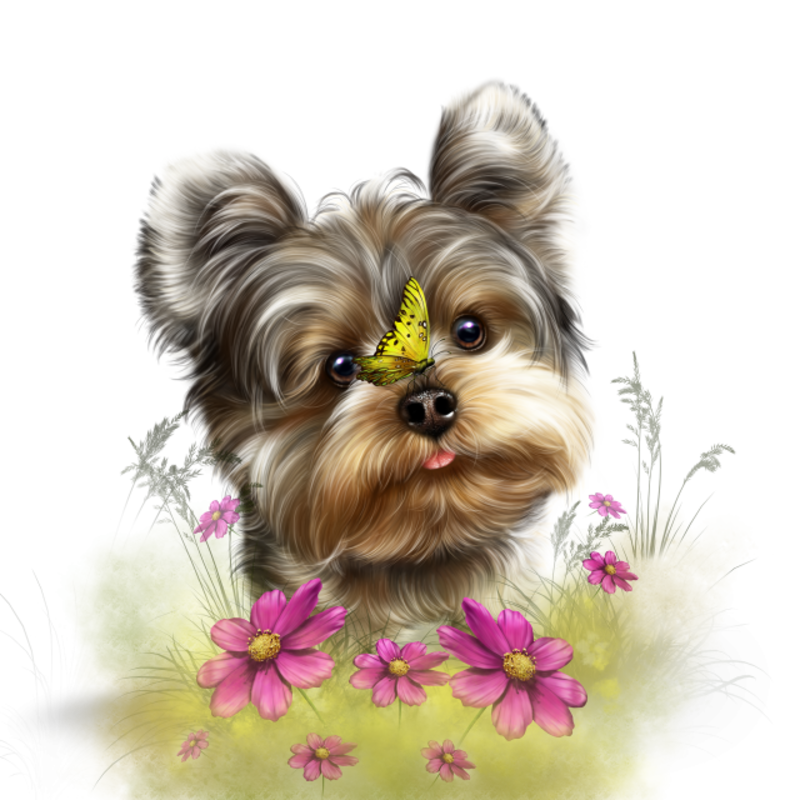 fairy_yorkie_and_butterflies_5.png