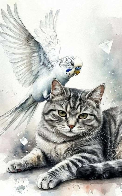CHAT 7