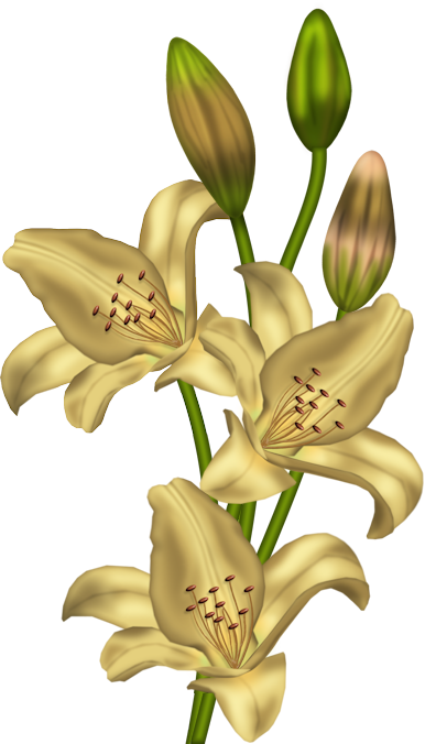 FLEURS 5