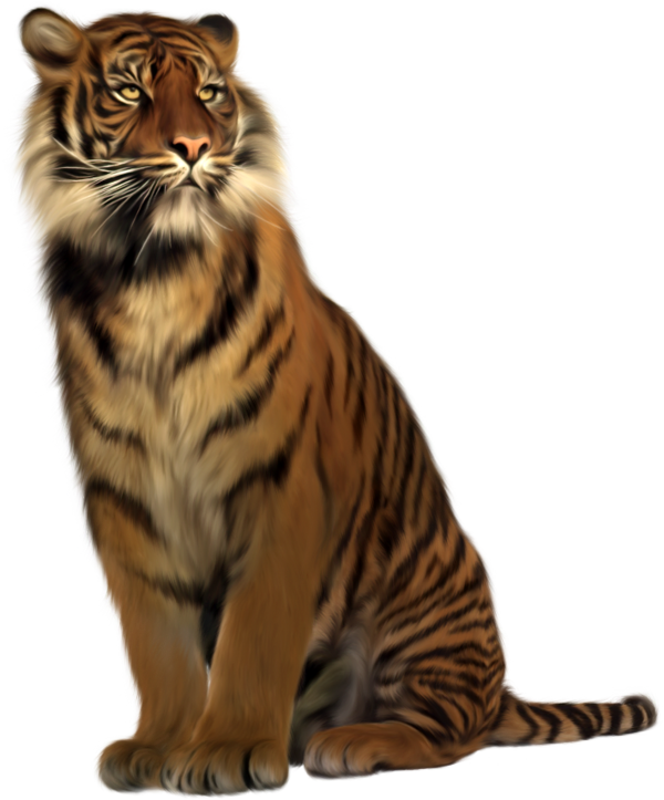 TIGRE