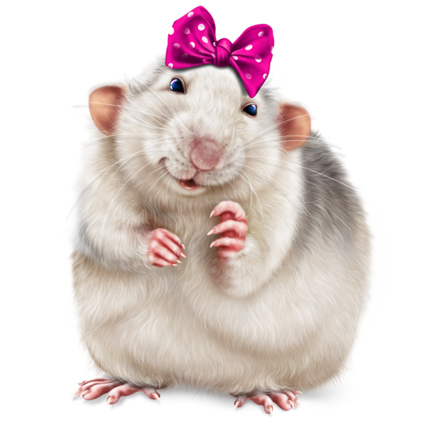 SOURIS RAT HAMSTER... 2