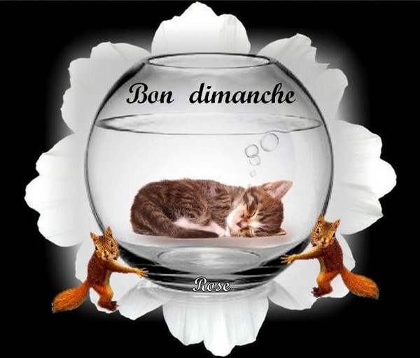 BON DIMANCHE