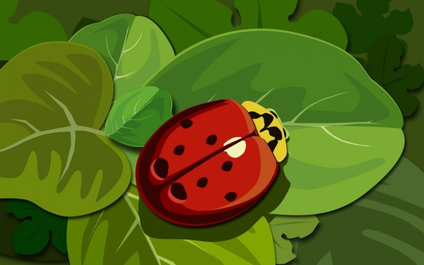 COCCINELLE