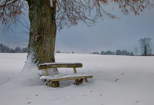 LE BANC