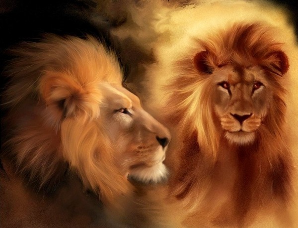 LIONS