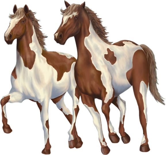 CHEVAL 2