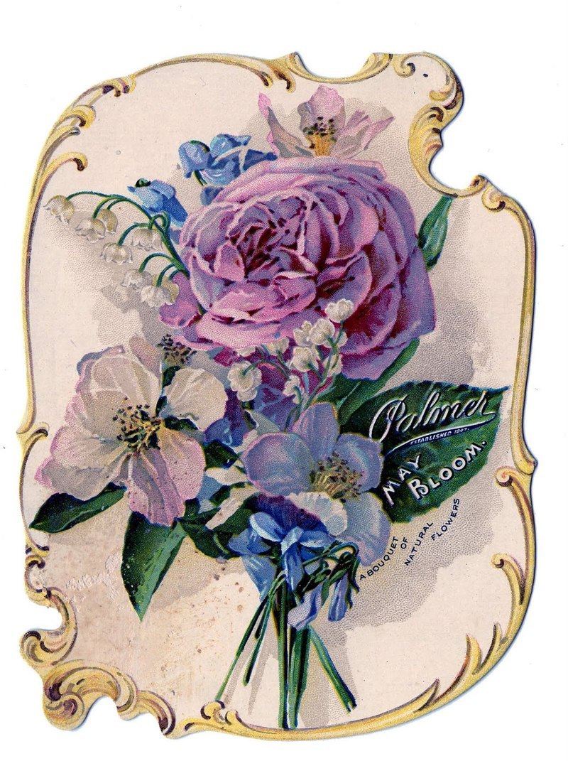 flowers-rose-graphicsfairy008.jpg