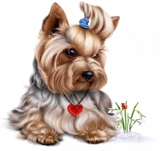 free-png.ru-394