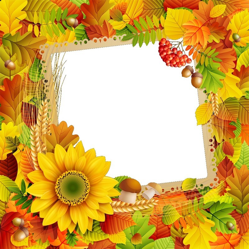 free-vector-beautiful-autumn-leaves-frame-background-03-vector_017341_3.jpg