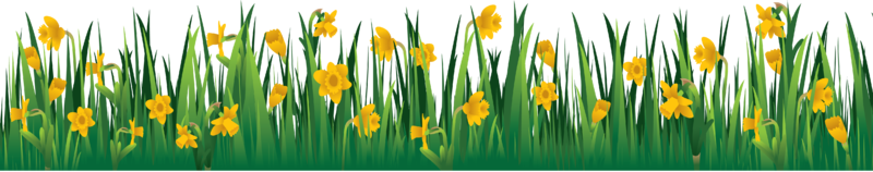 grass_PNG410.png
