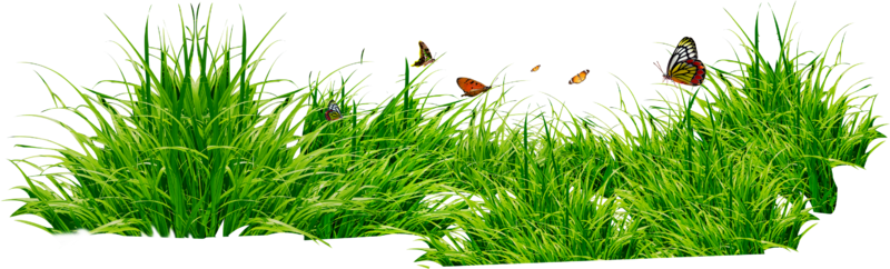 grass_PNG4919.png