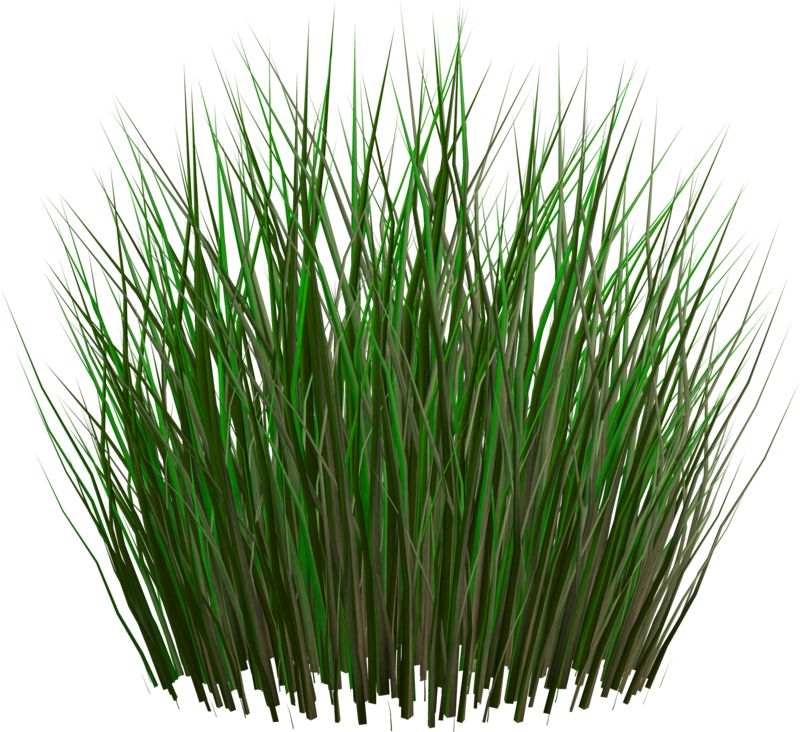 grass_PNG4933.png