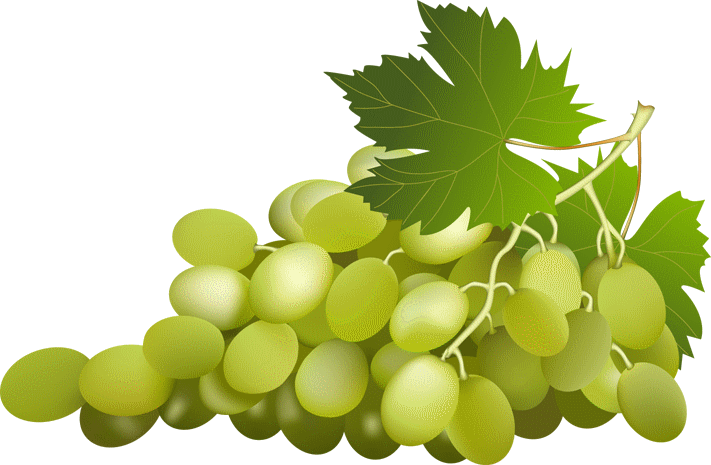 green-grapes-clip-art-150138.png