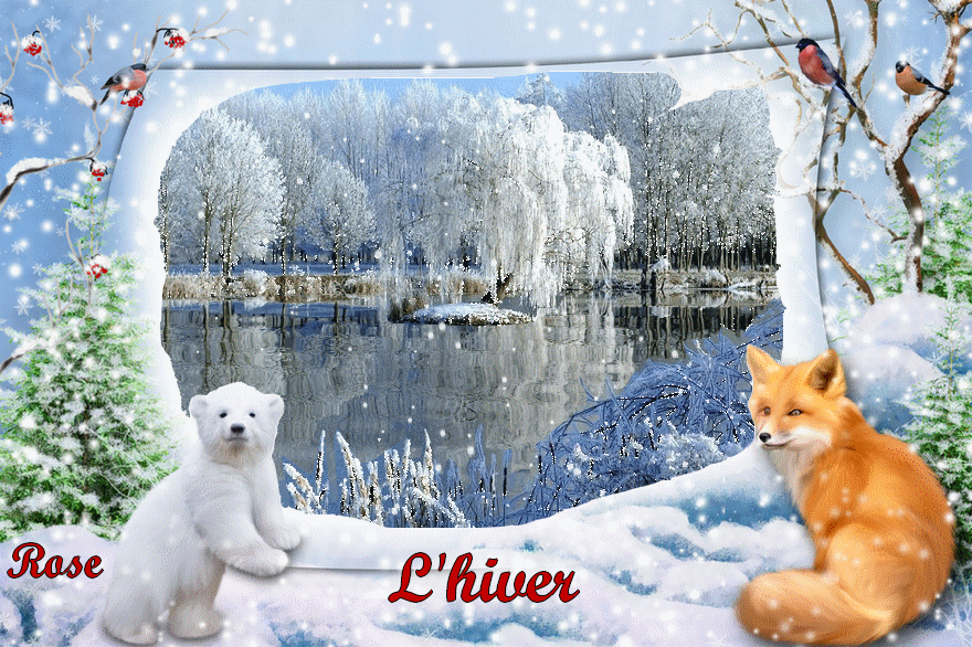 hiver-renard-ours.gif
