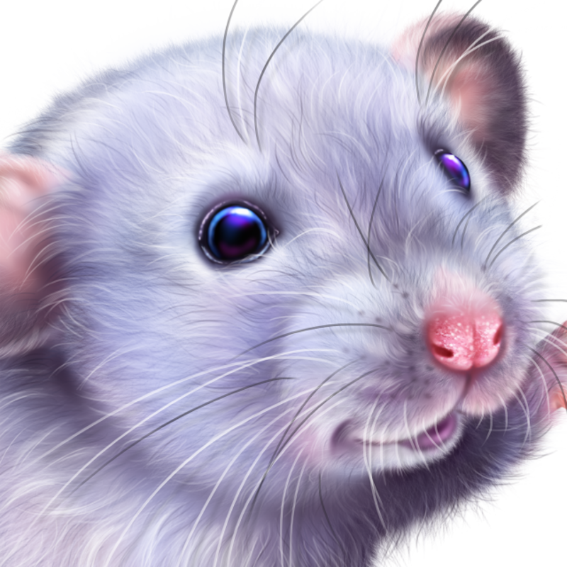 hristmas-Gift-for-a-Mouse-22.png