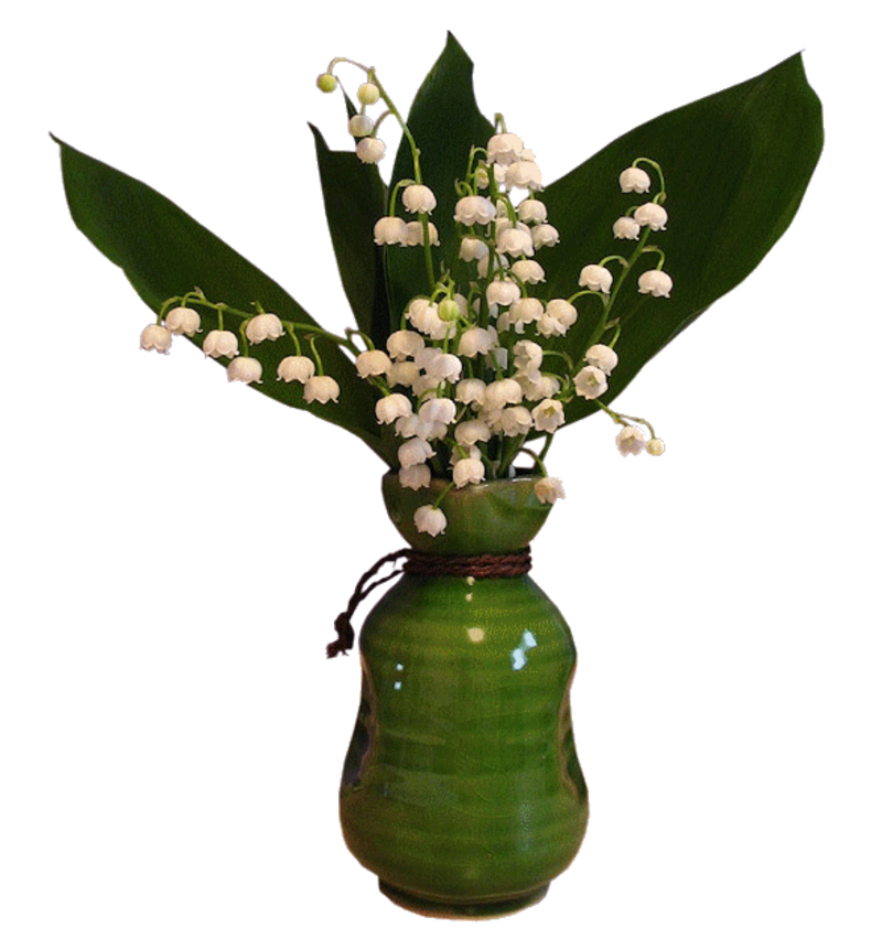 kisspng-flower-lily-of-the-valley-clip-art-5ae6ac5791bdc4-729469311525066839597.png
