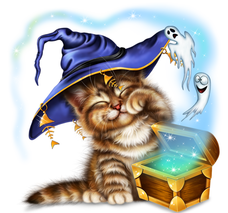 kitty-and-chest-of-ghosts-png4.png