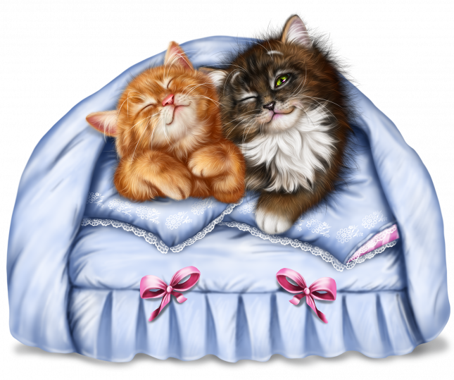 kitty_couple_5