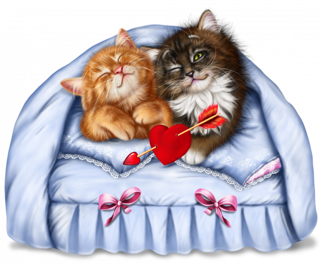 kitty_couple_6