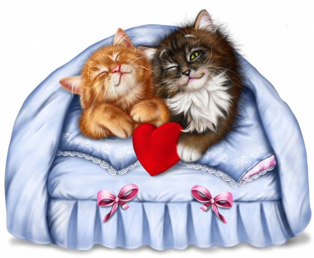 kitty_couple_7