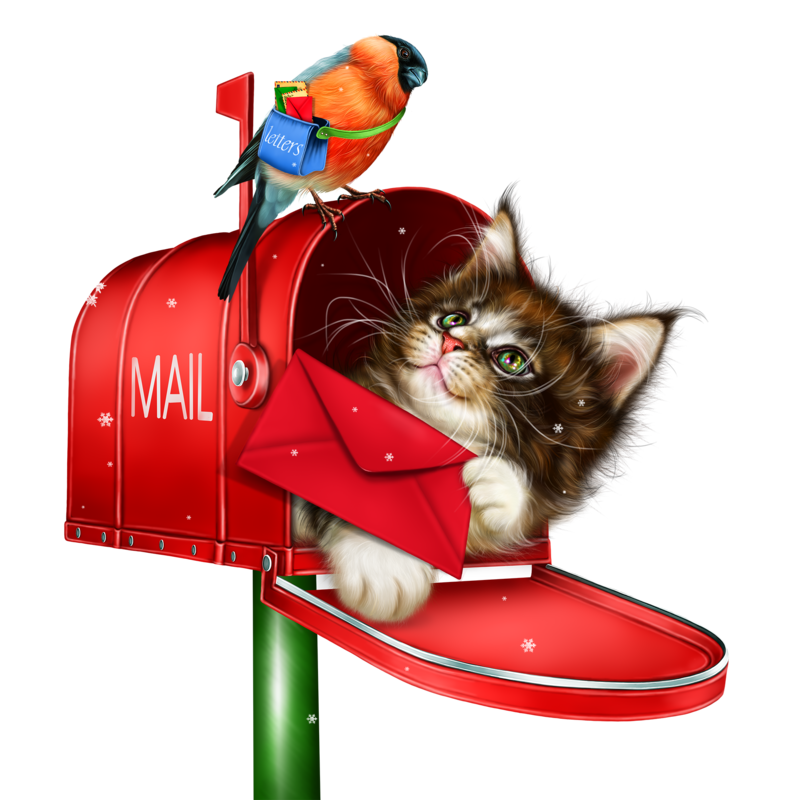 kitty_in_the_mailbox_2.png