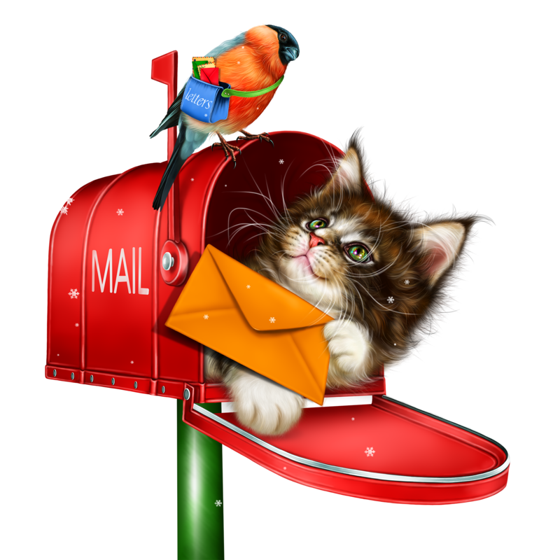 kitty_in_the_mailbox_3.png
