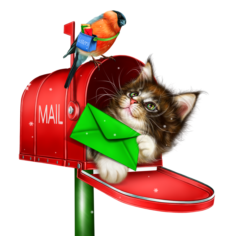 kitty_in_the_mailbox_4.png