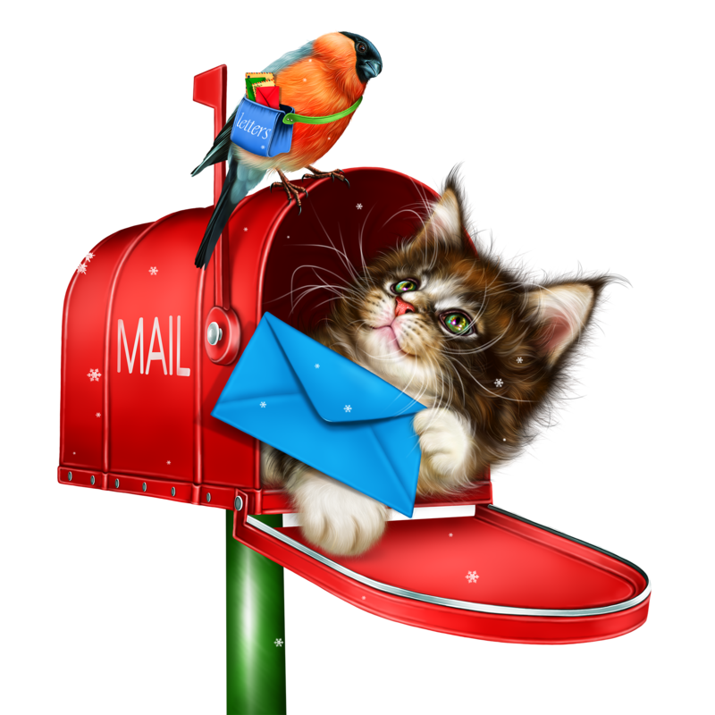 kitty_in_the_mailbox_5.png