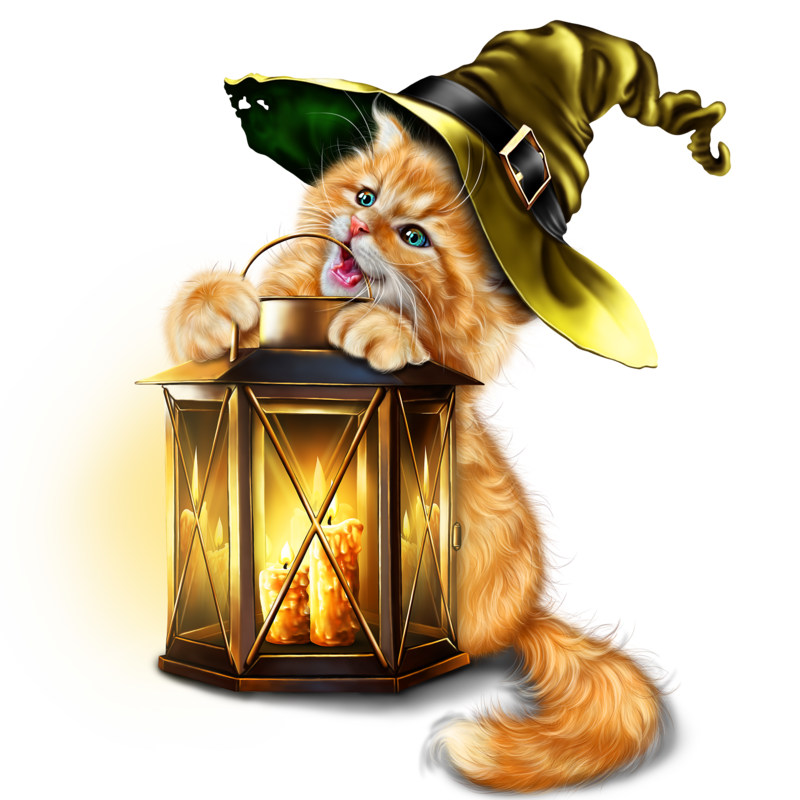 kitty_with_lantern_10.png