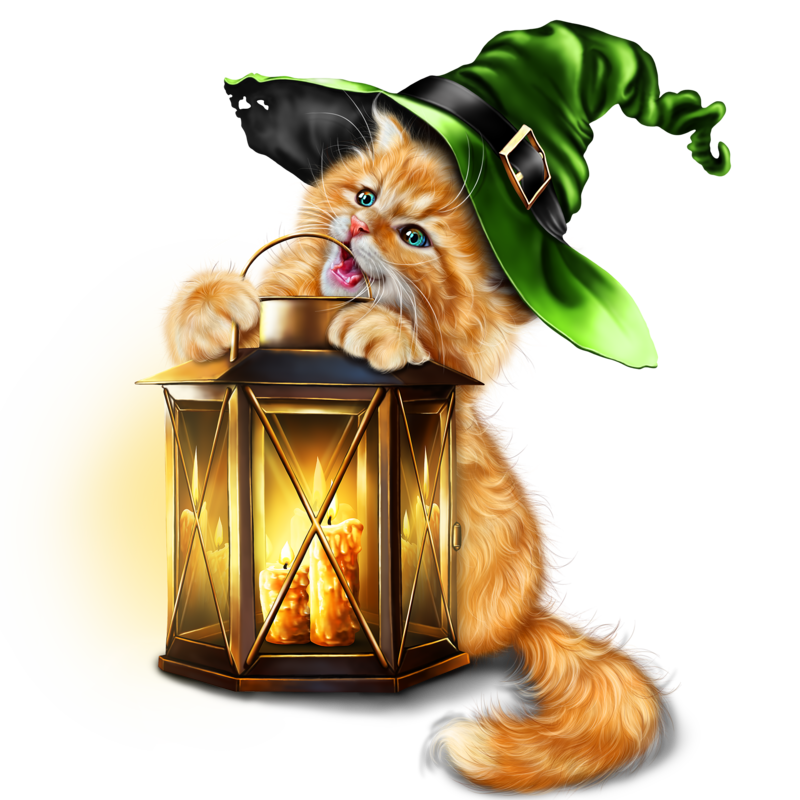 kitty_with_lantern_11.png