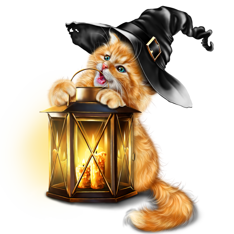 kitty_with_lantern_12.png