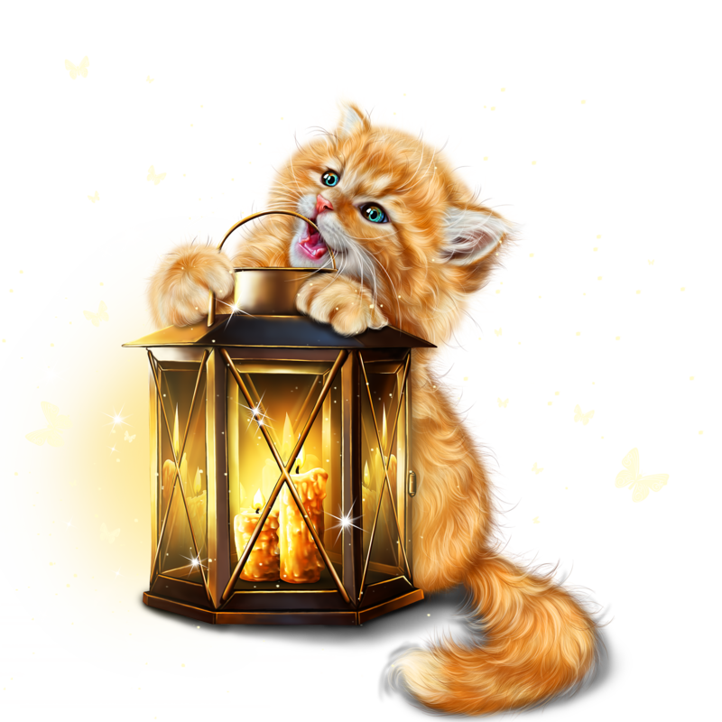 kitty_with_lantern_3.png