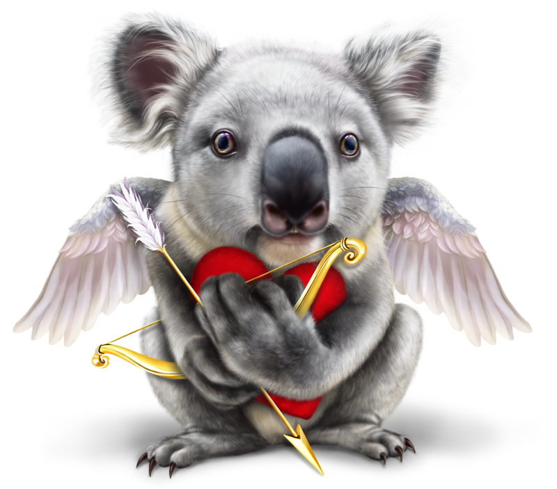 koala-cupid11.png