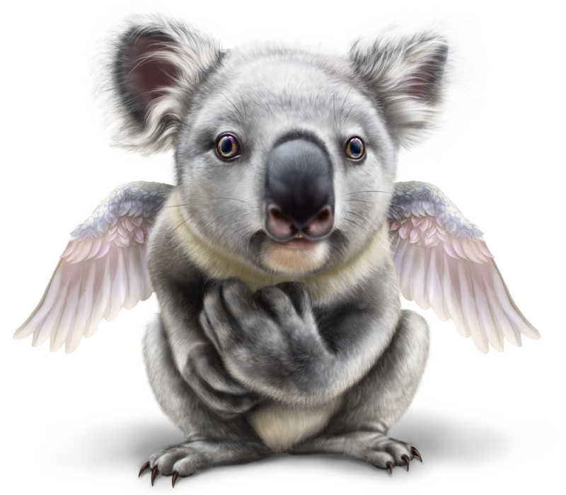 koala-cupid2.png