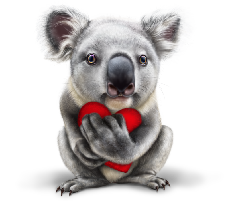 koala-cupid3.png