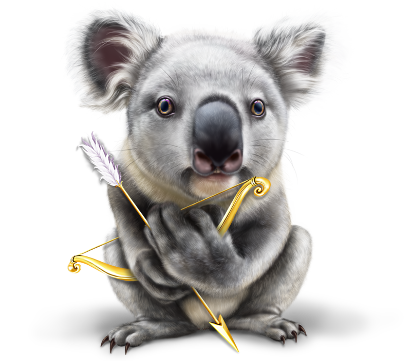 koala-cupid4.png