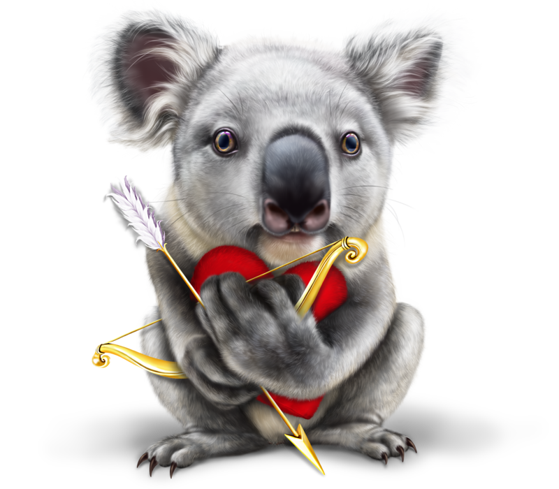 koala-cupid5.png
