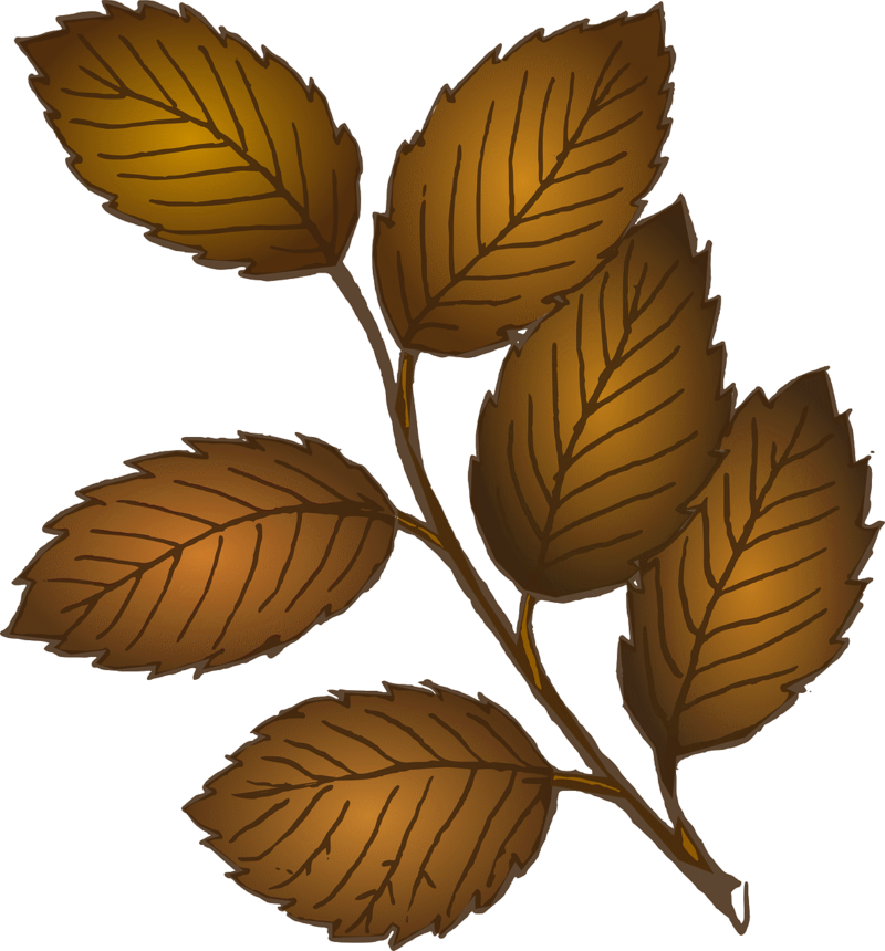 leaves-303543_1280.png