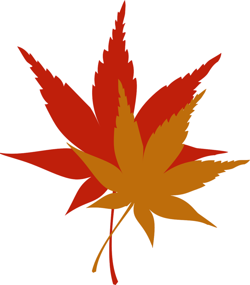 leaves-34846_1280.png