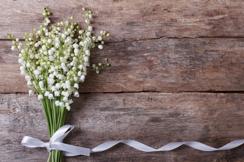 lily-bouquet-white-flowers-4k-wallpaper.jpg