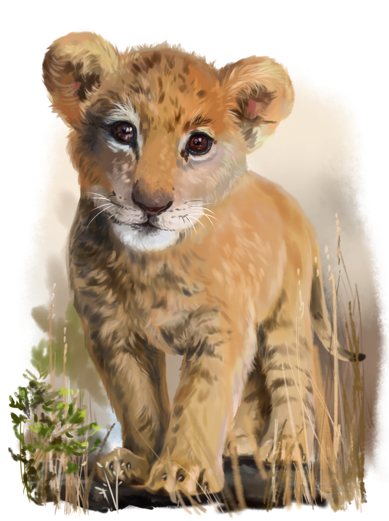 lion-baby-3.png