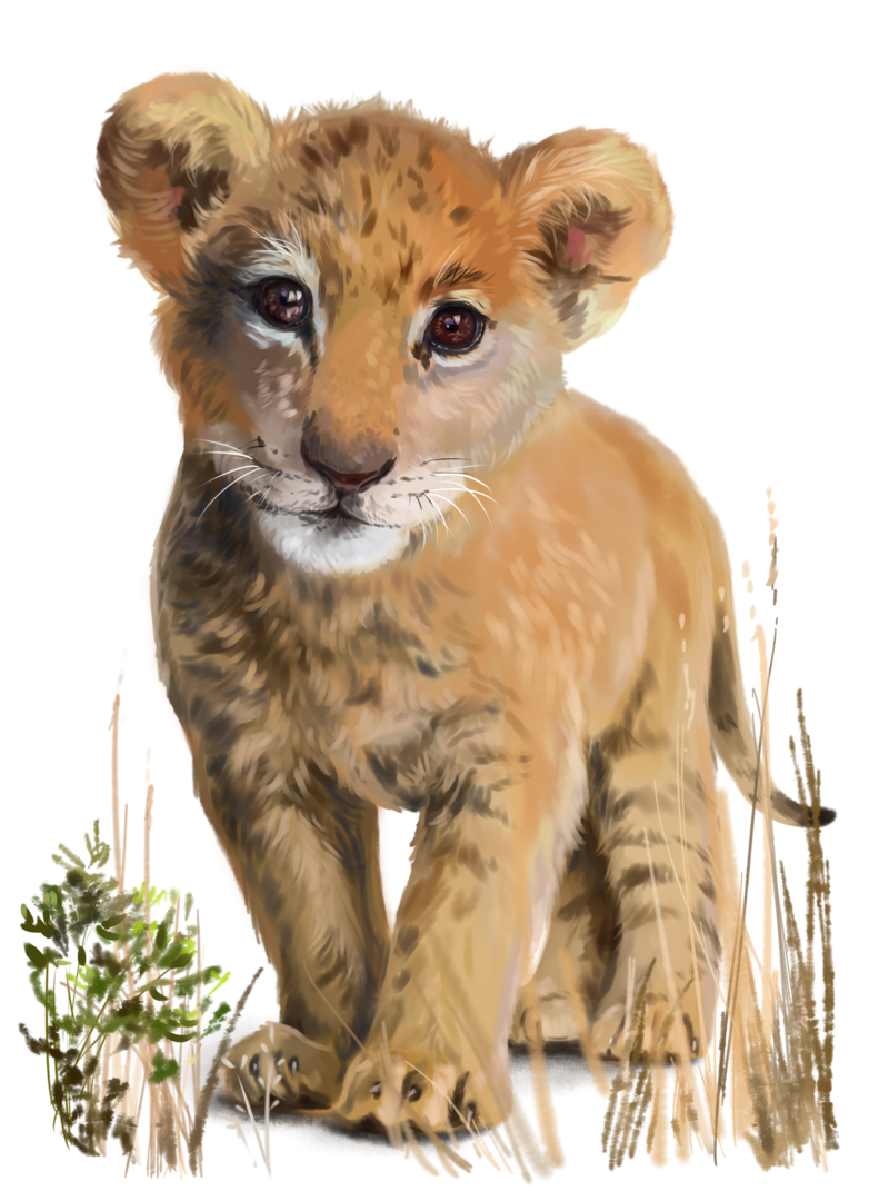 lion-baby.png
