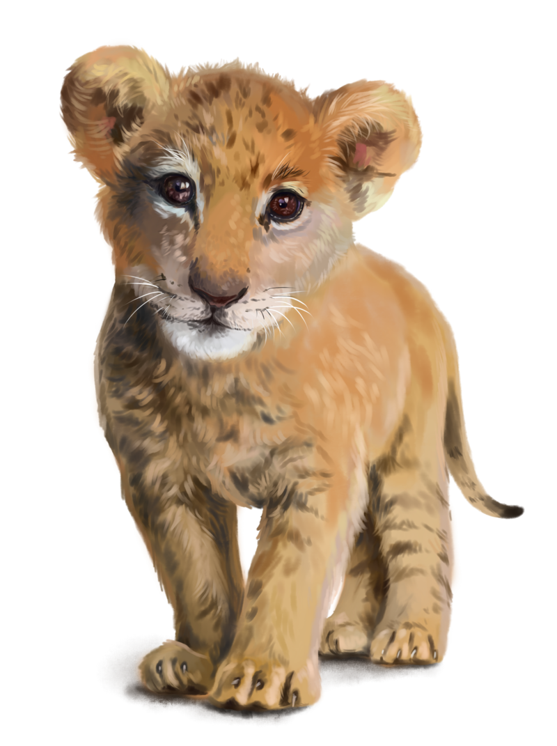 lion-baby_1.png