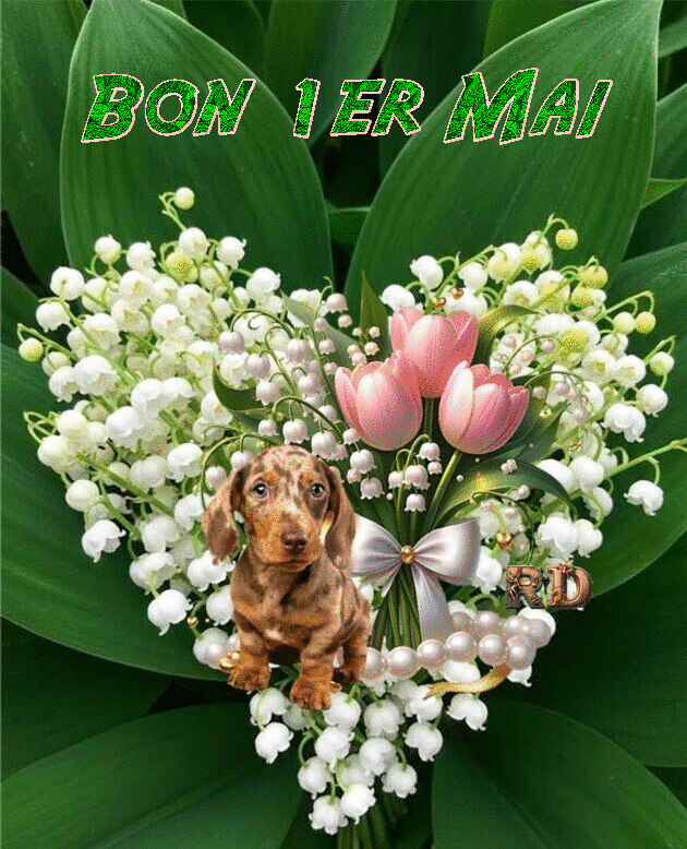 mai_animaux_5