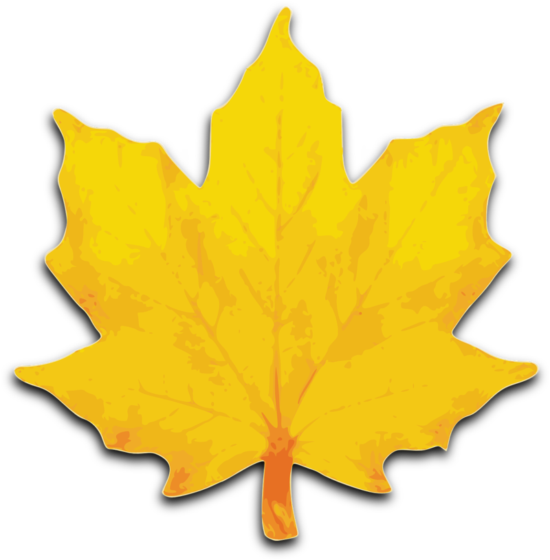 maple-150867_1280.png