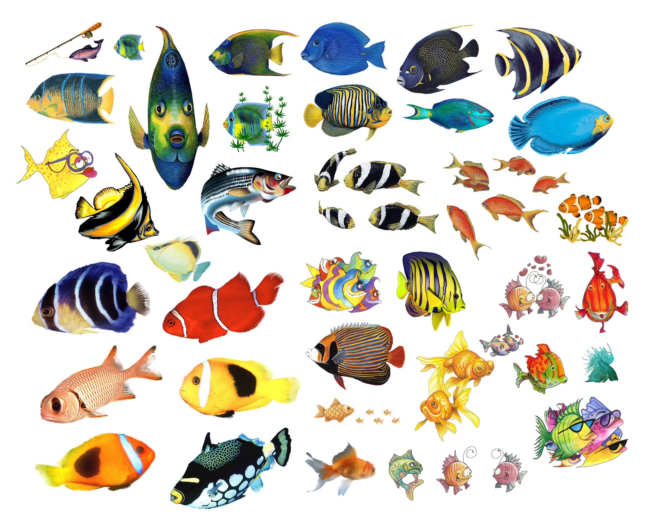 рыбки аквариумные картинки для детей