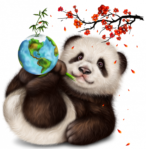 peaceful-panda-2