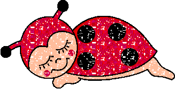 picgifs-ladybug-1098081.gif